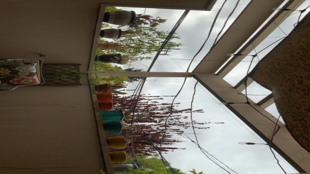 Balcony with Potted Plants