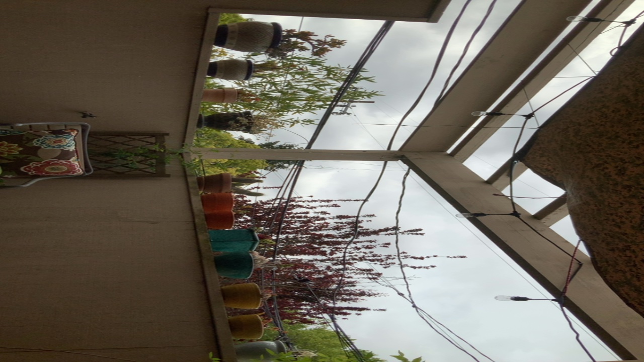 Balcony Garden View