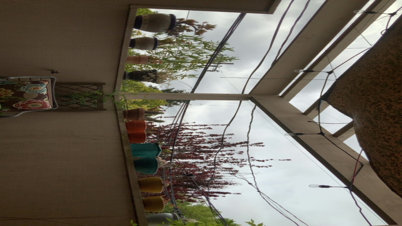 Patio View with Plants and Sky