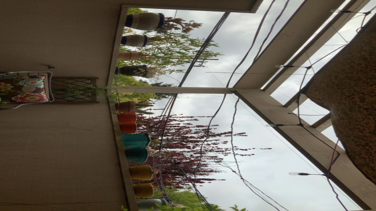 Balcony Garden View
