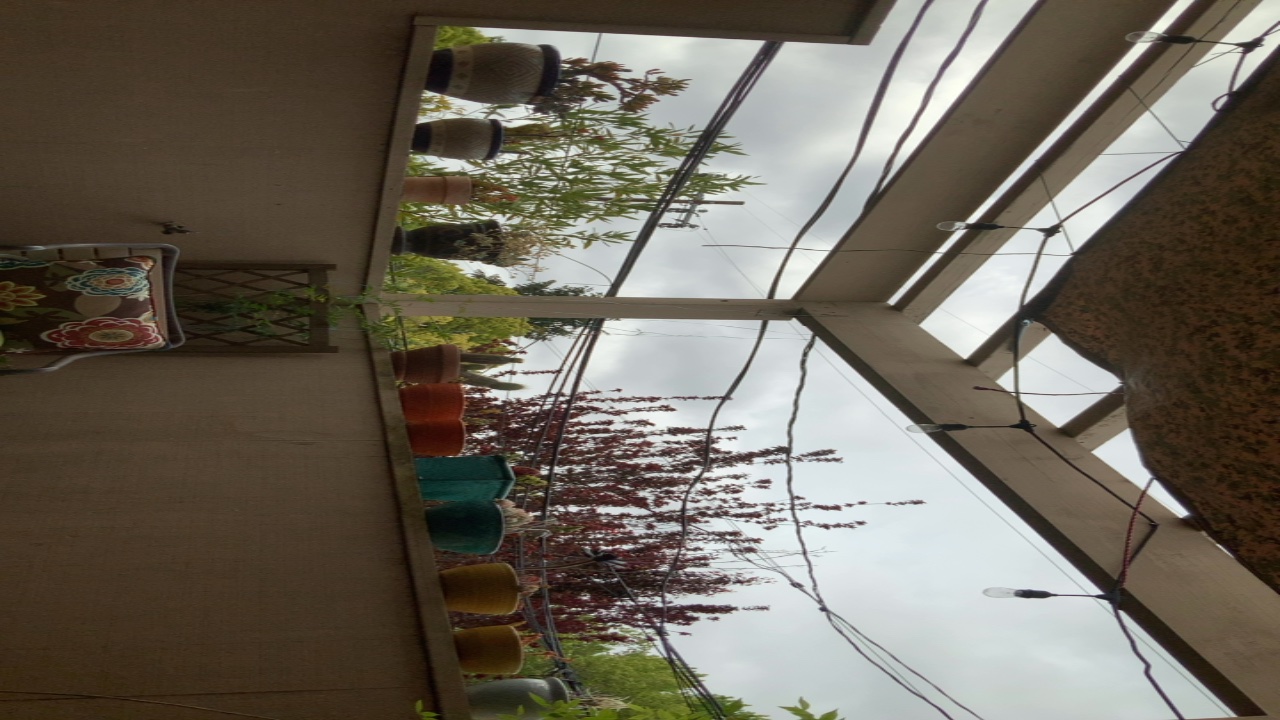 Balcony Garden View