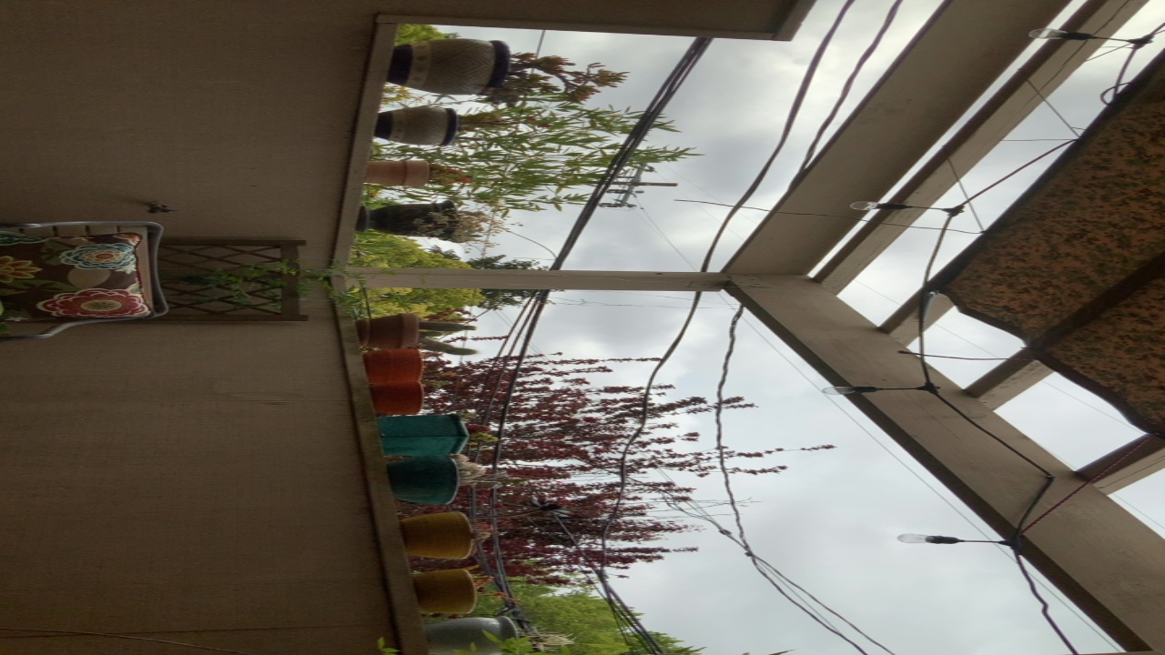 Patio Garden View