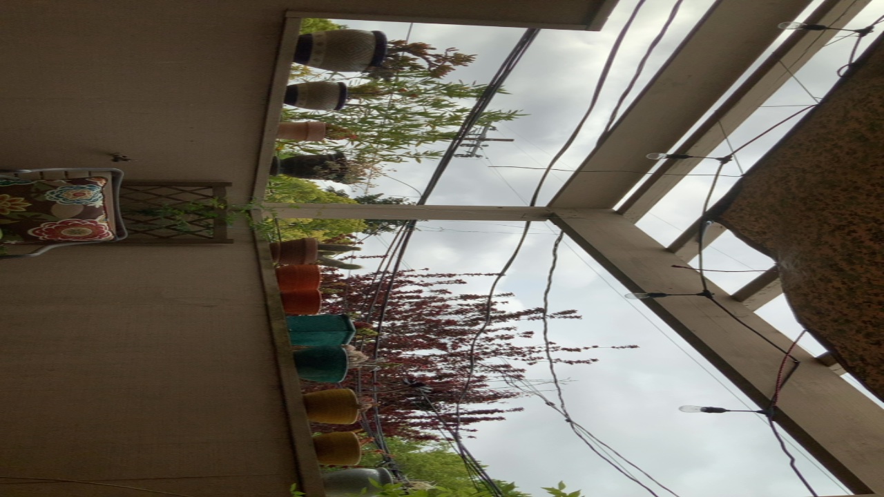 Balcony Garden View