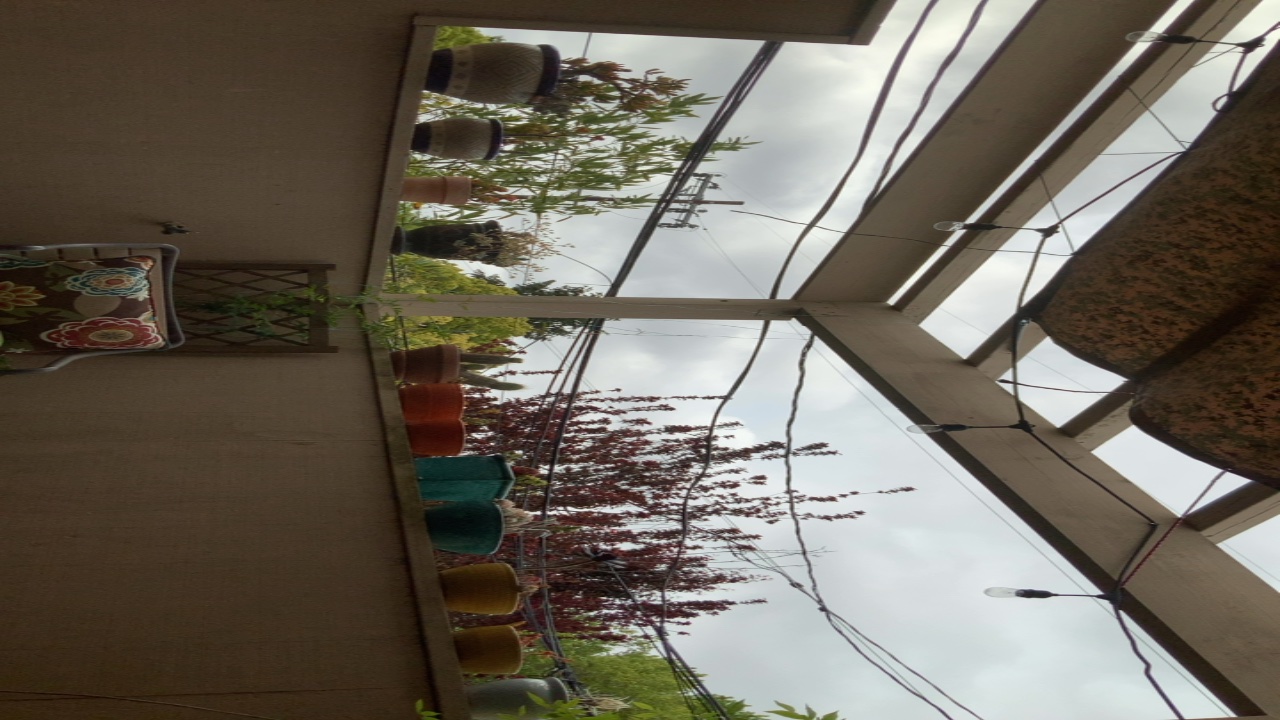 Balcony Garden View