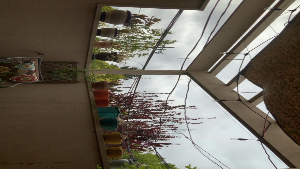 Balcony Garden View