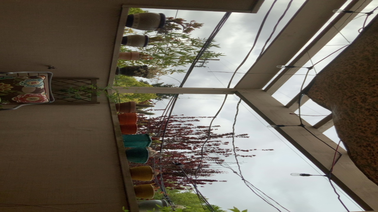 Patio with Plants