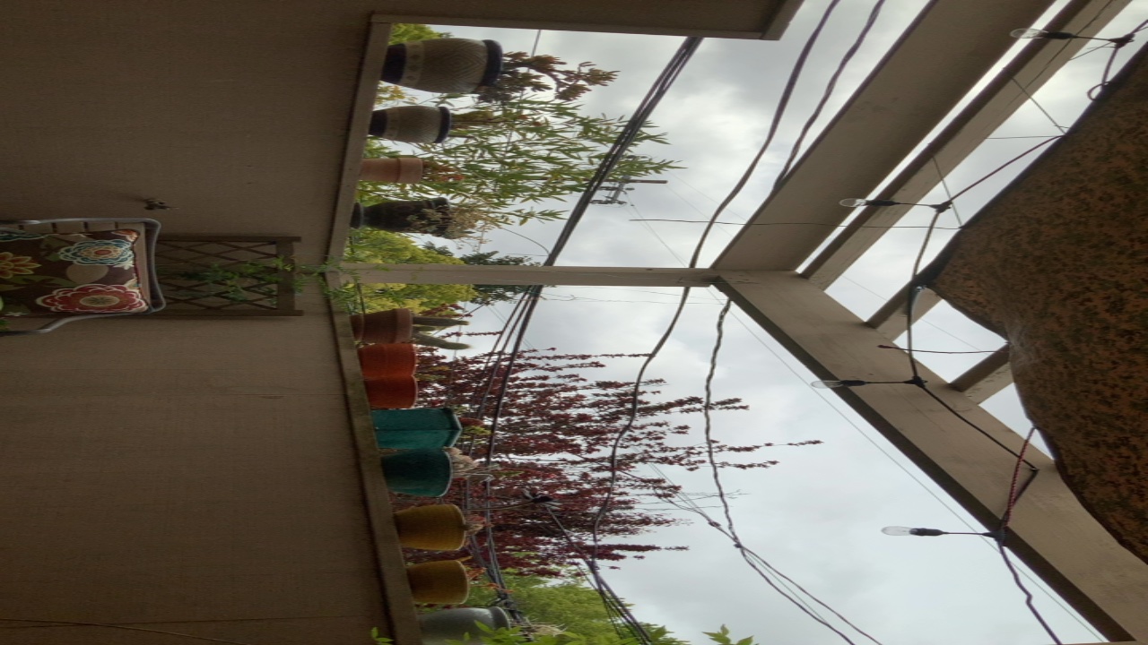 Balcony Garden View