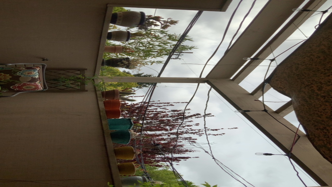 View from a Covered Patio
