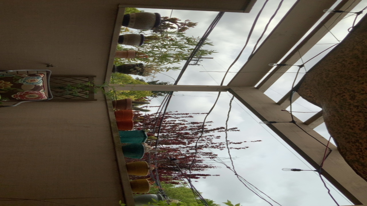 Balcony Garden View