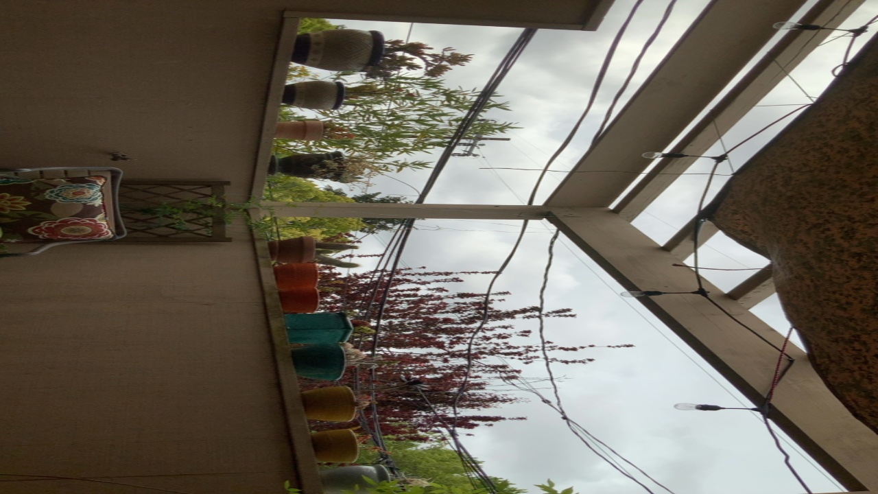Balcony Garden View