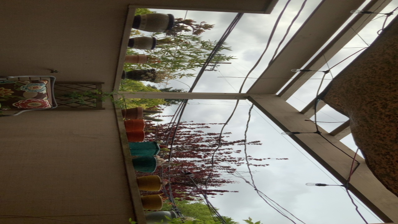 Balcony with Plants