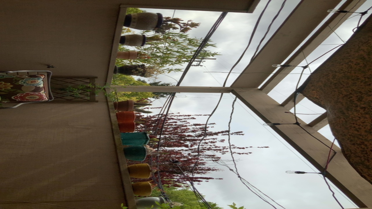Patio with Potted Plants