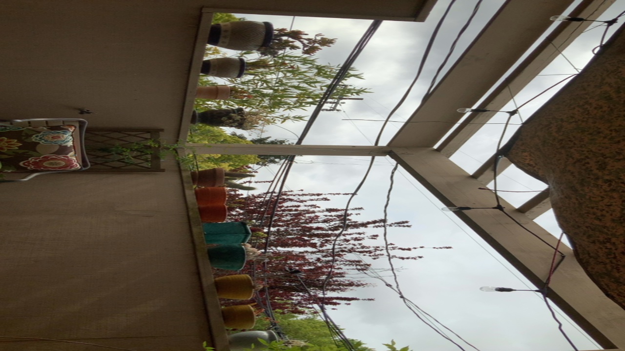 Patio View