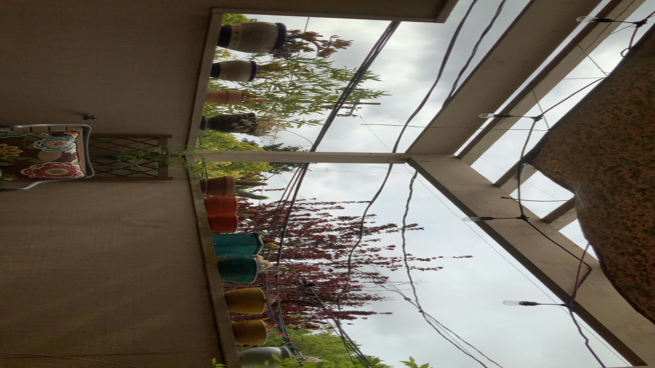 Balcony with Potted Plants