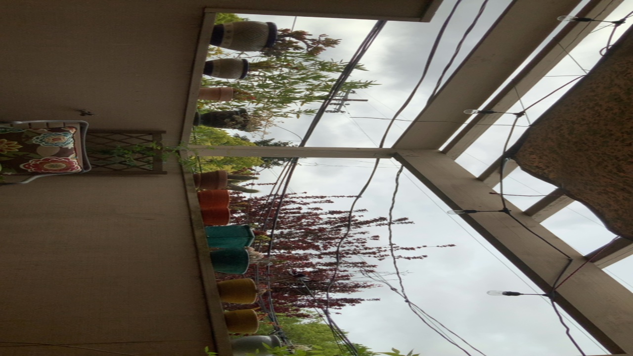 Patio with Potted Plants