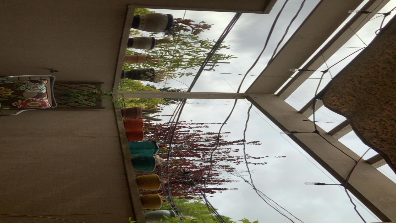 Overhead View of a Patio Garden