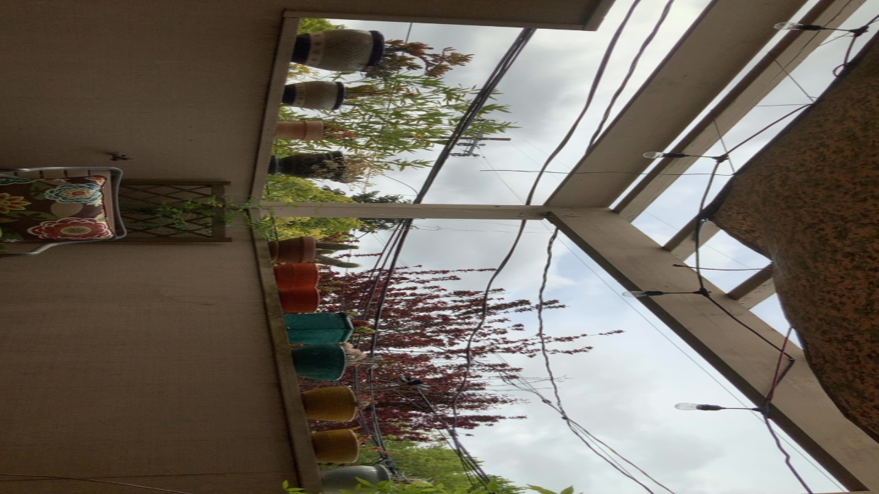 Courtyard Garden View