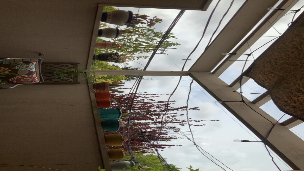Cozy Patio View