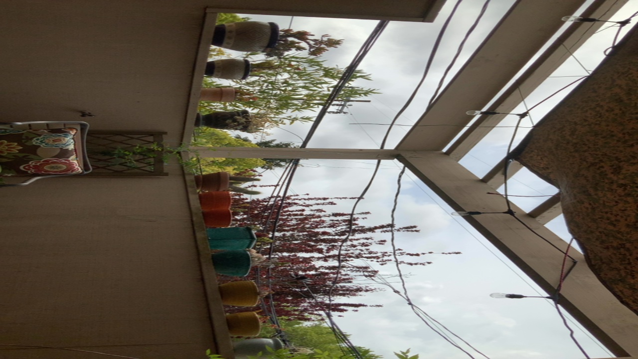 Patio View
