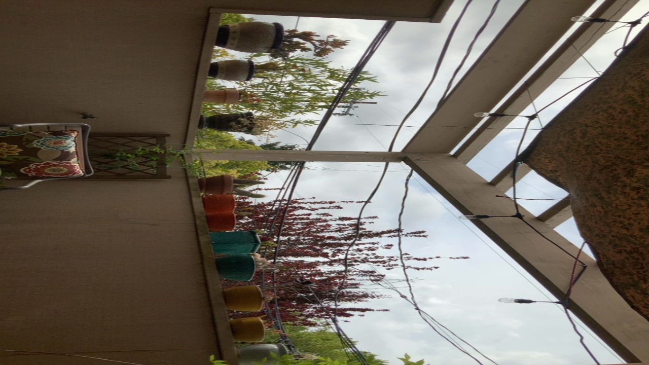 Garden View from Below