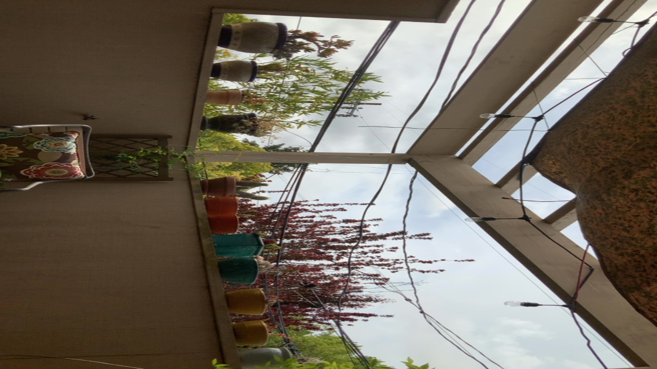 Outdoor Patio with Plants