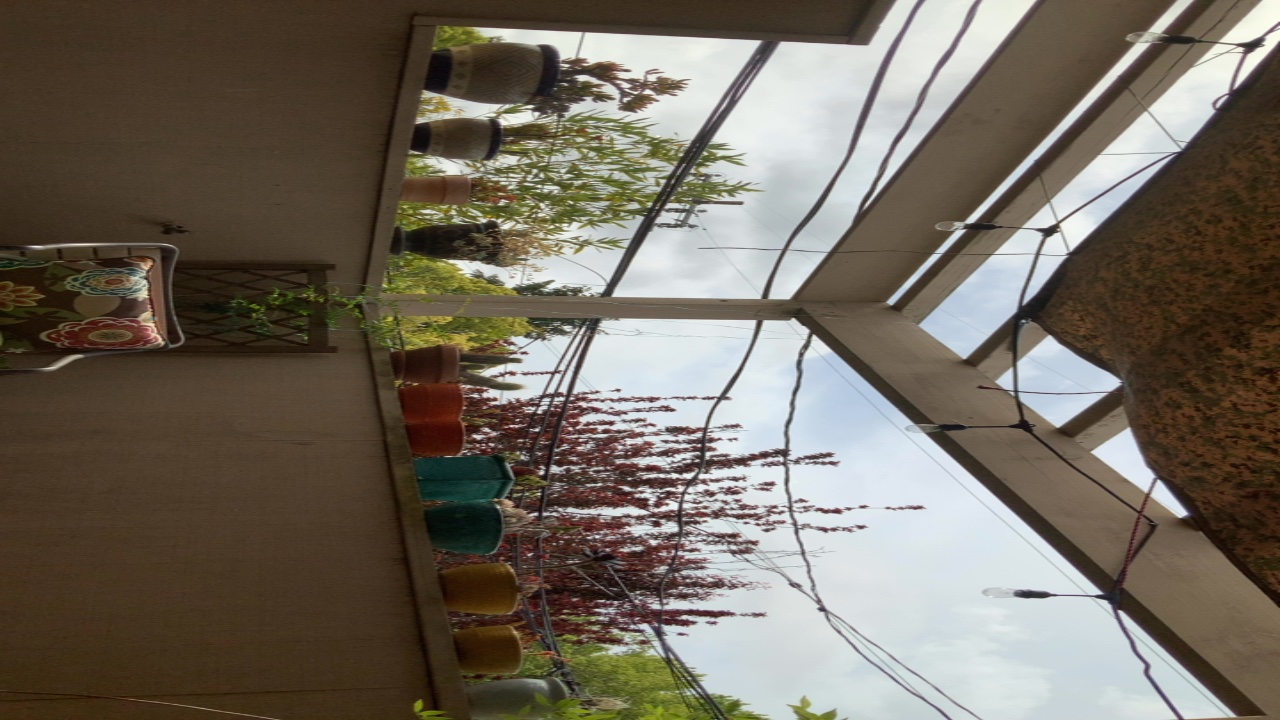 Balcony Garden View