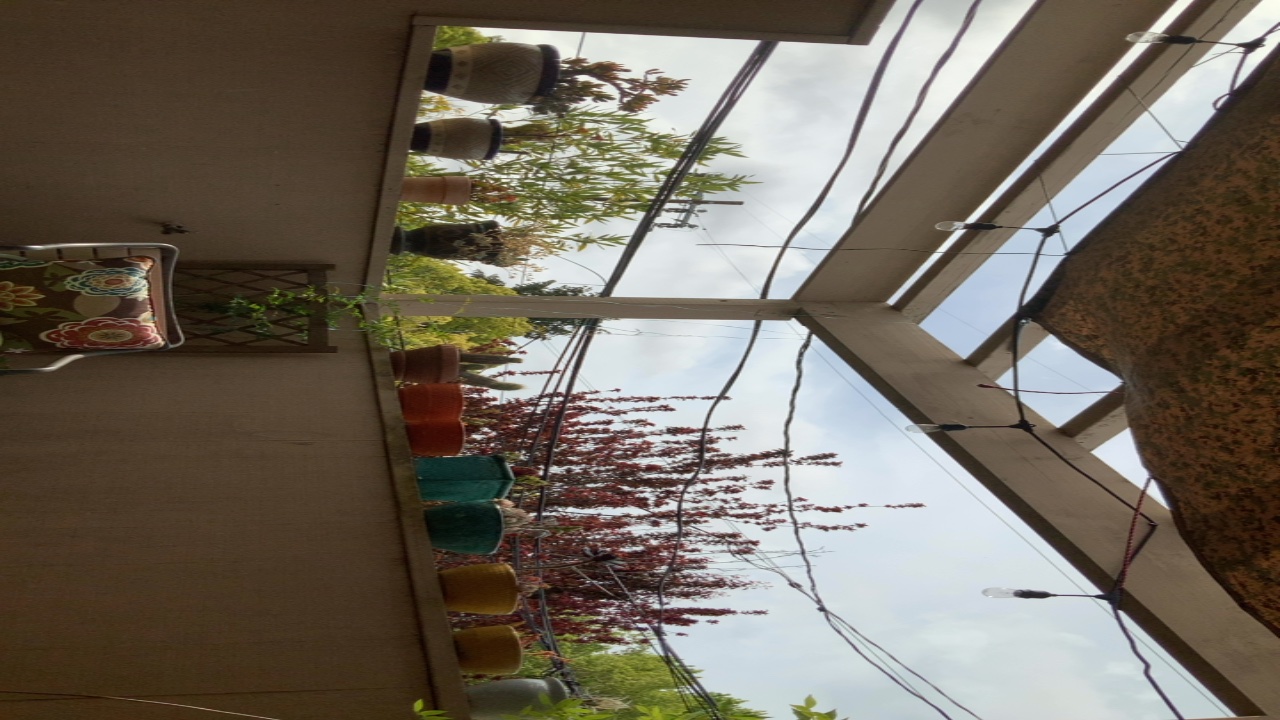 Patio Garden View