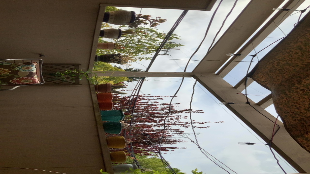 Balcony Garden View