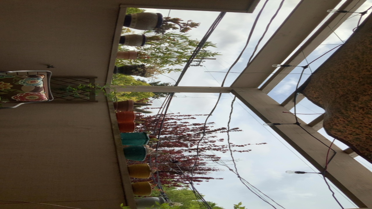 Patio View
