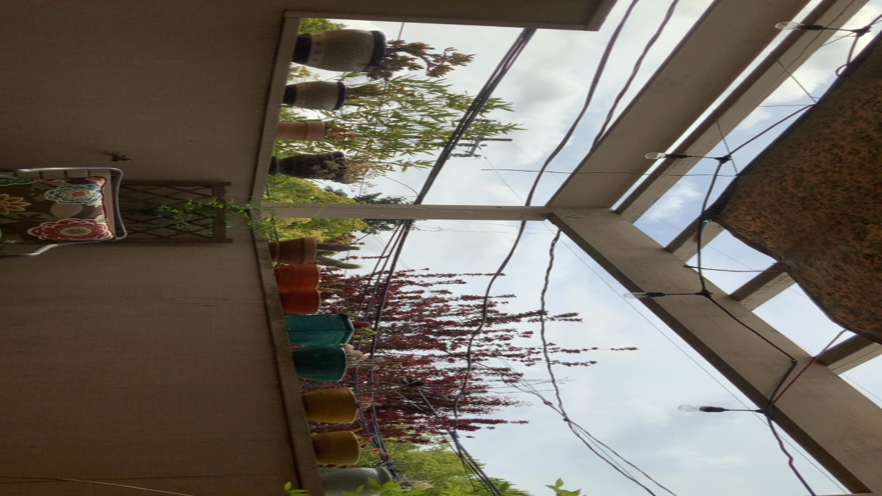 Patio Garden View
