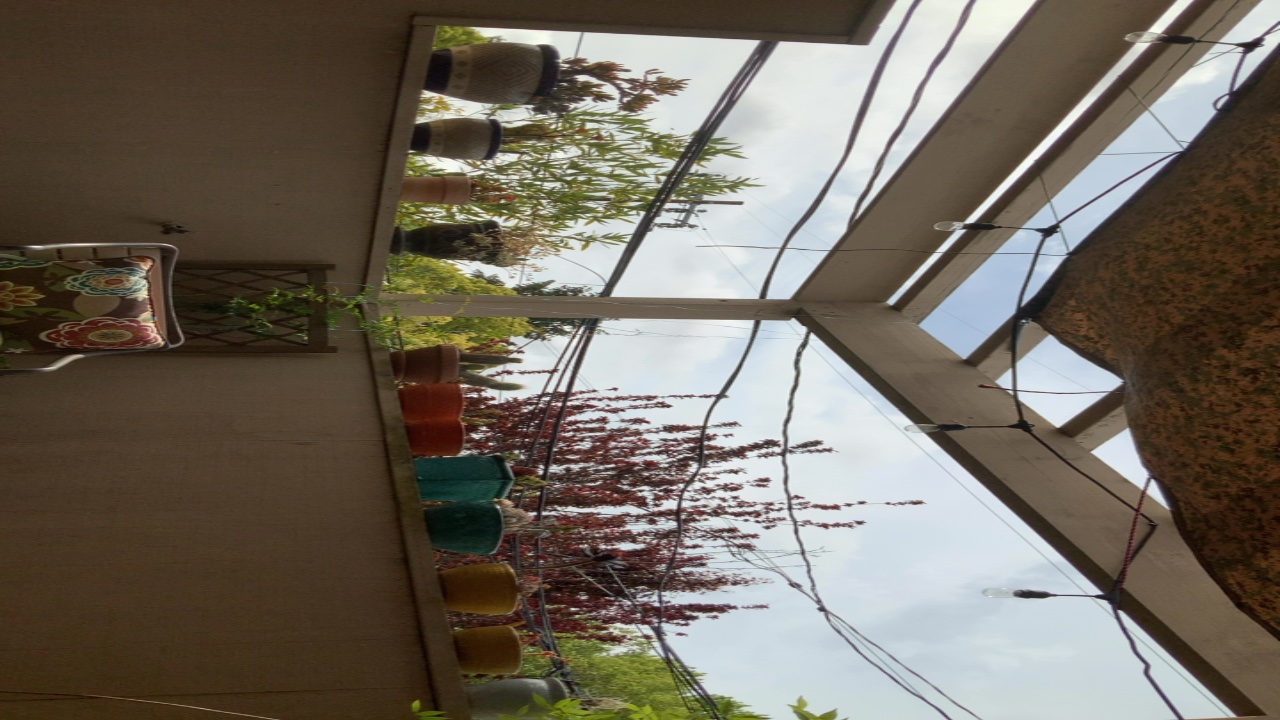 Patio View