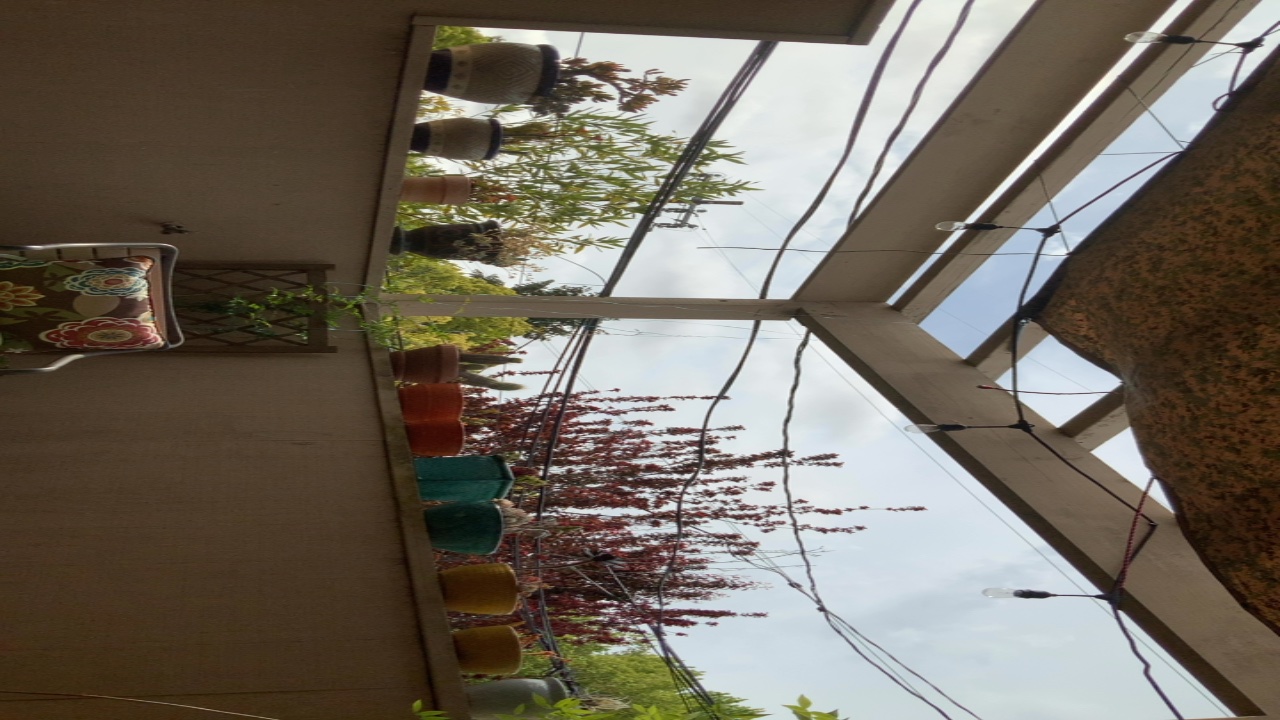 Courtyard with Plants and Overhead Structure