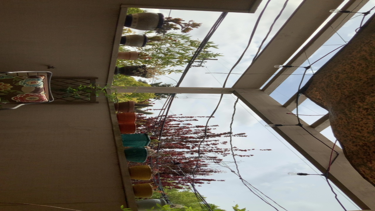 Patio with Potted Plants