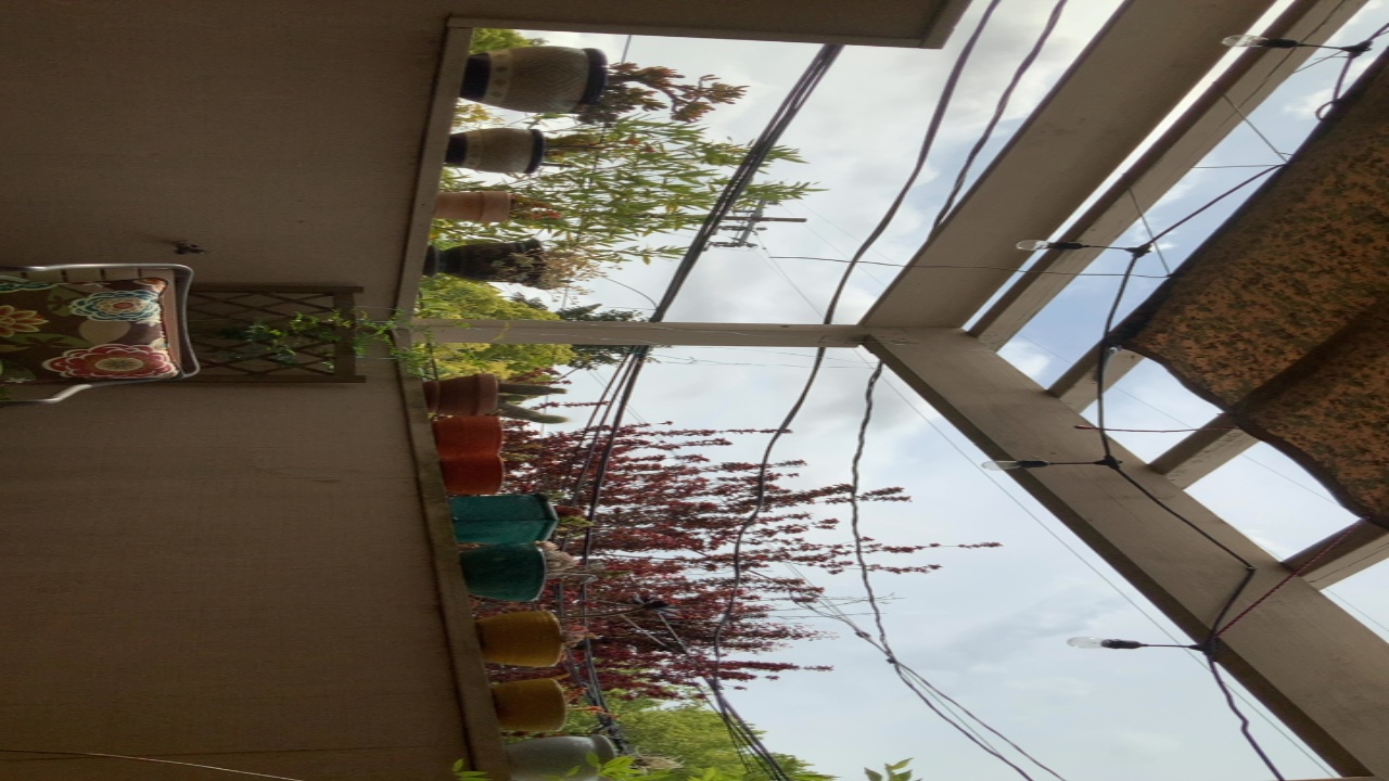 Patio Garden View