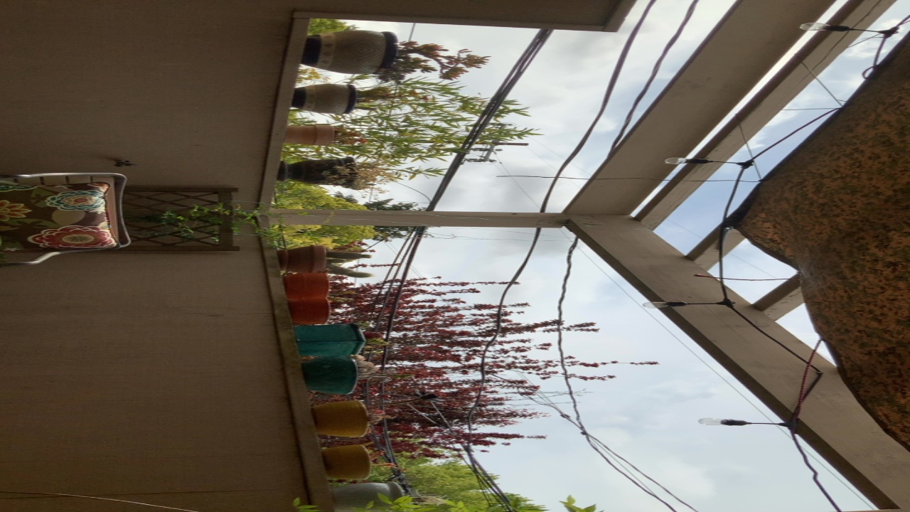 Patio Garden View