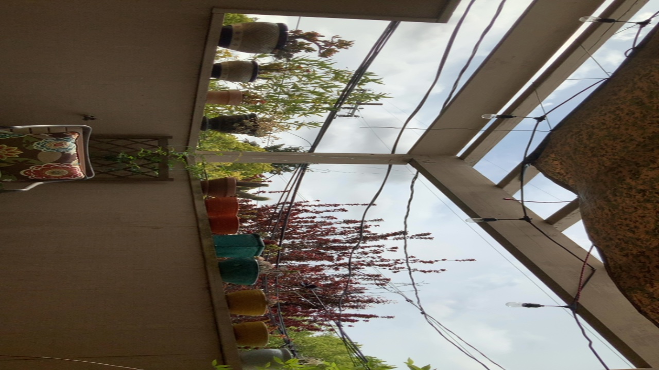 Balcony Garden View