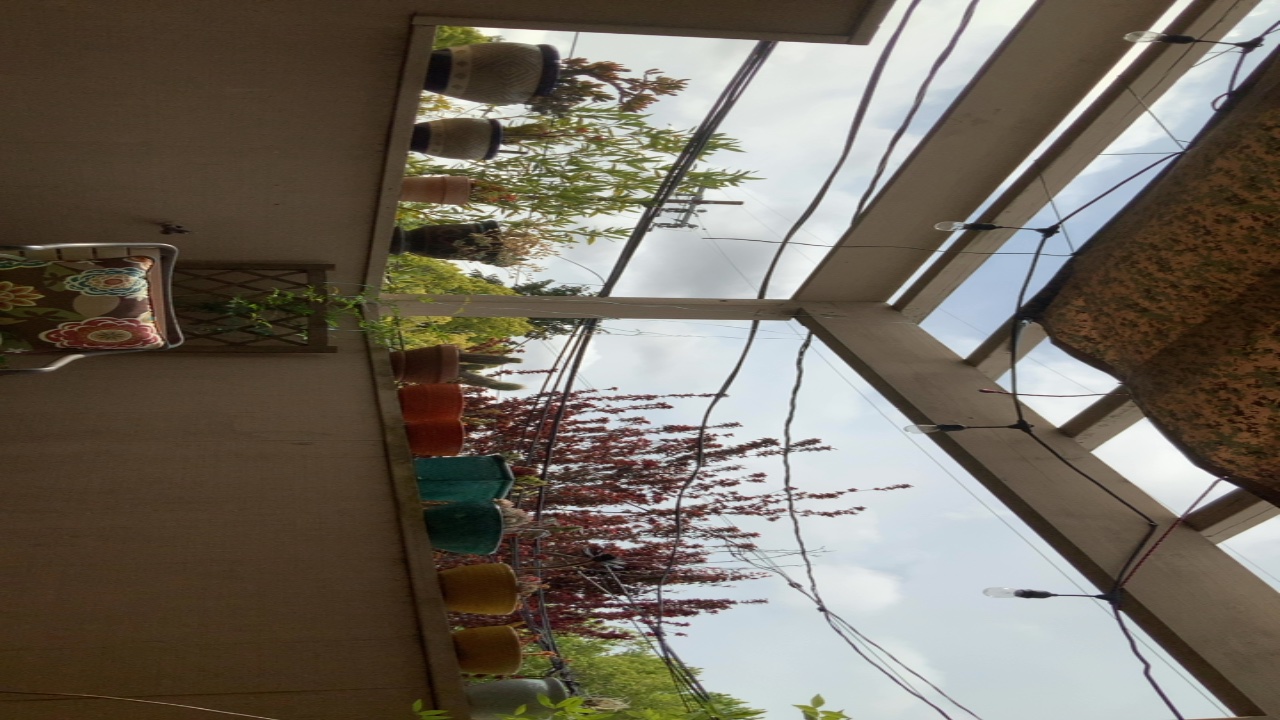 Cozy Balcony Garden