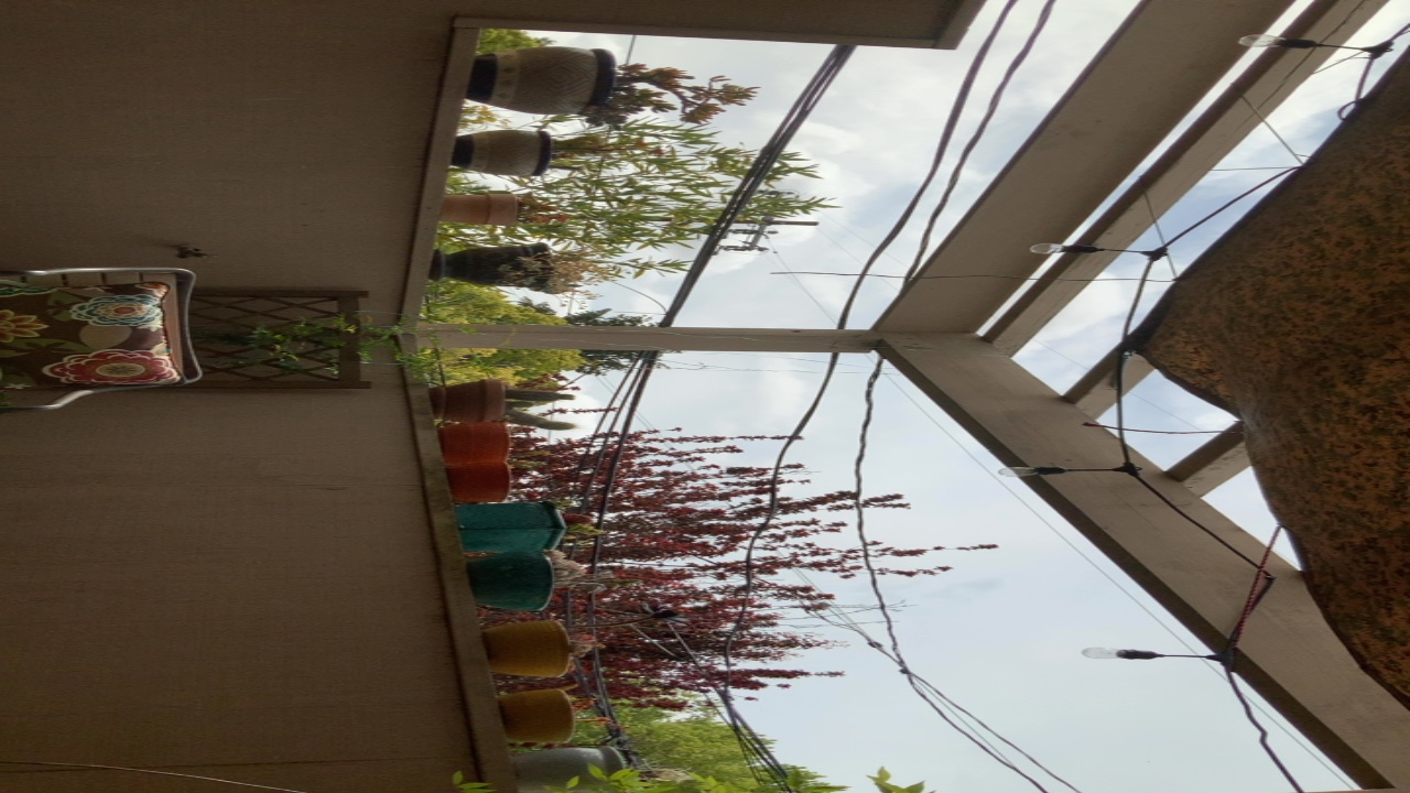 A View From Below