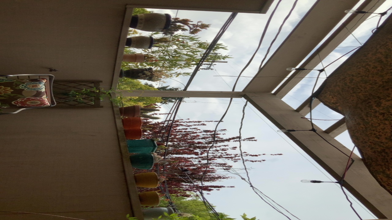 Balcony with Plants