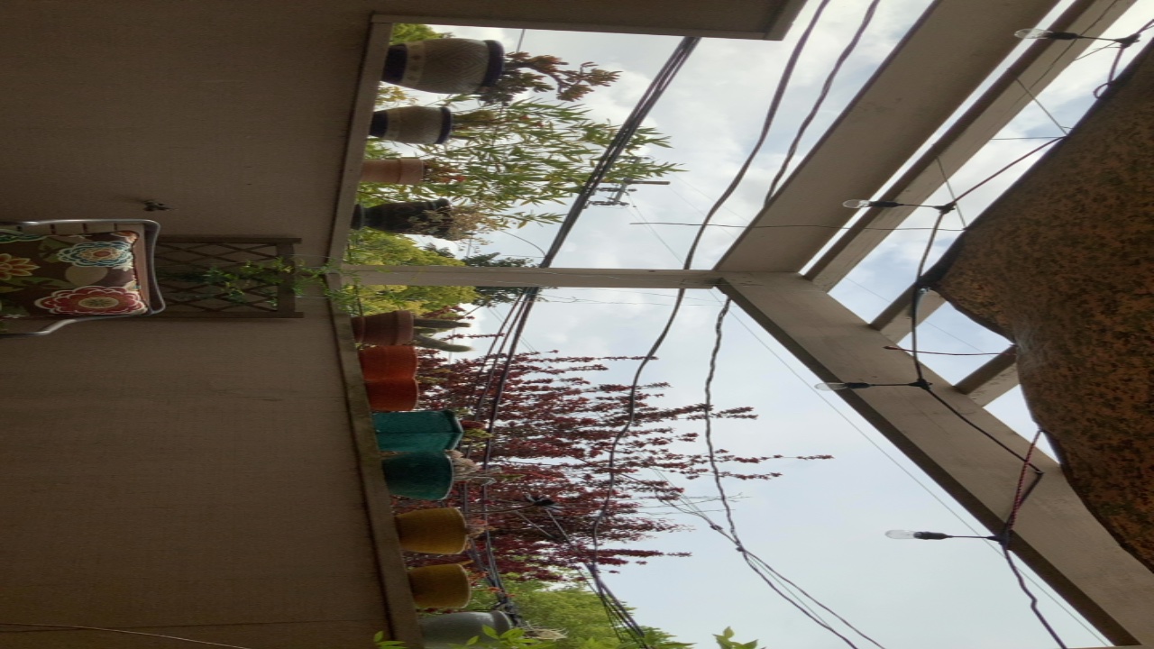 Garden View from Below