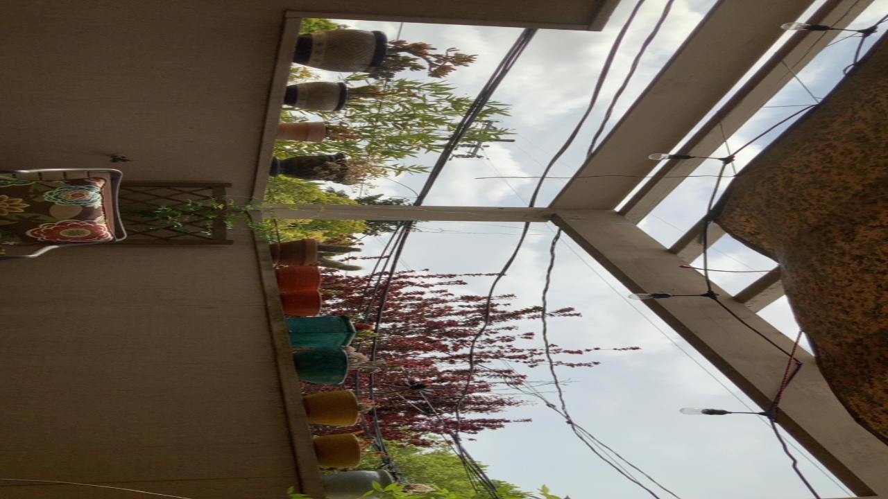Patio with Potted Plants