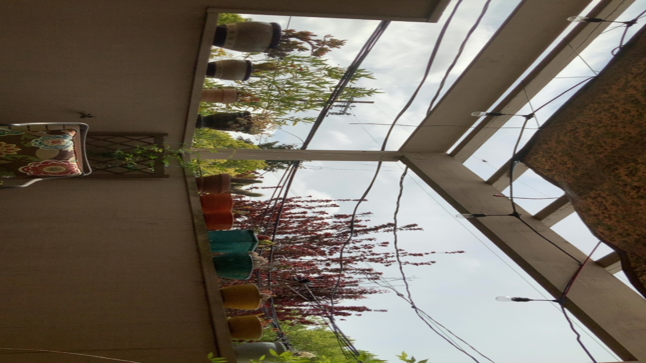 Balcony Garden View