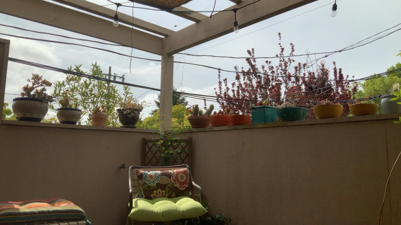 Patio Garden View