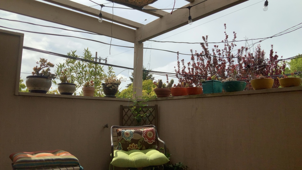 Rooftop Garden Retreat
